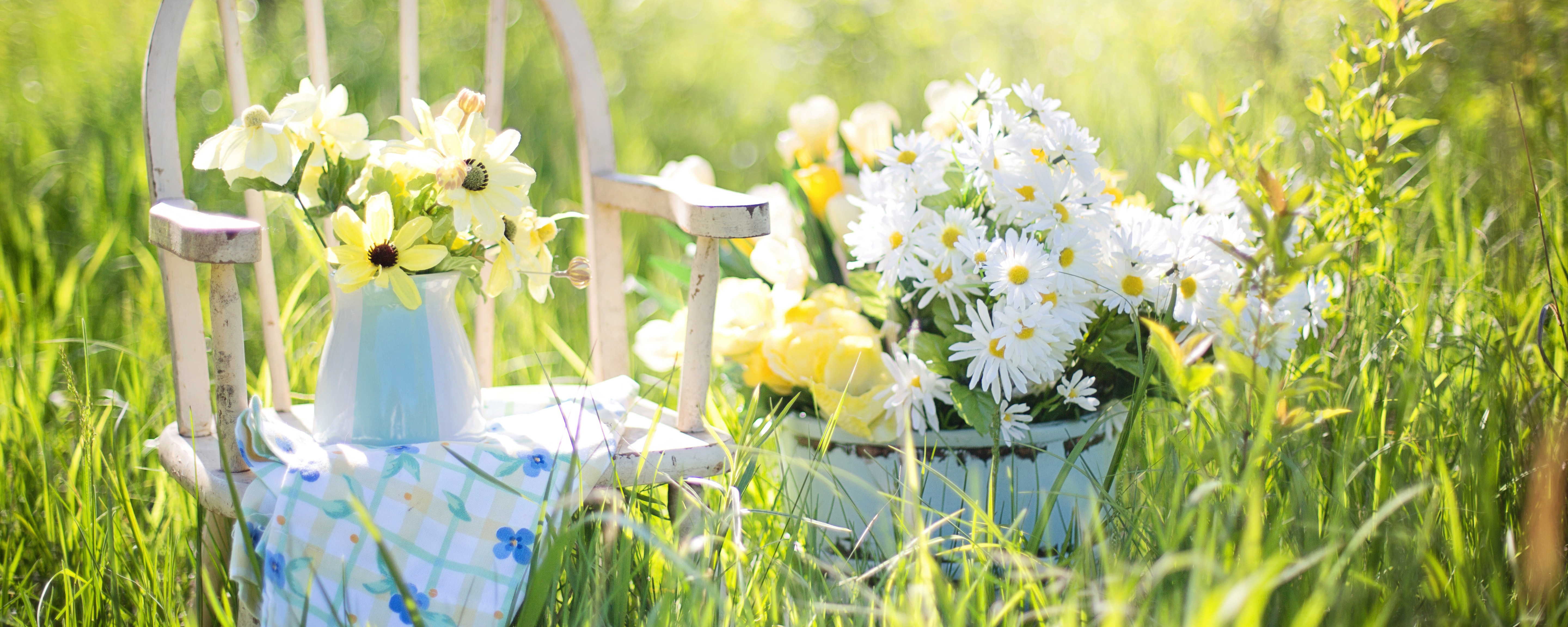 summer-still-life-779386_pixabay.jpg